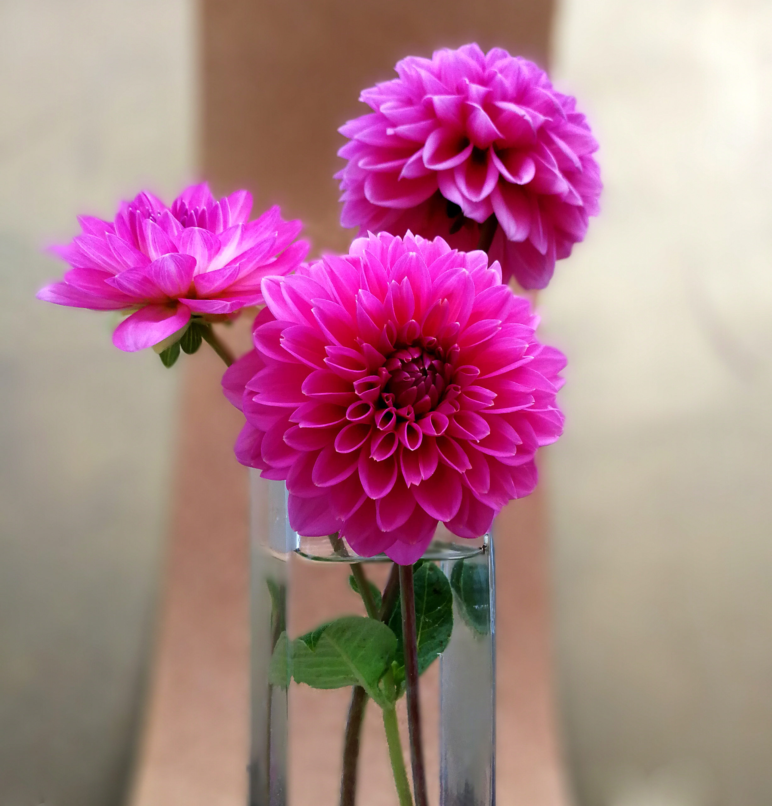 How to Survive (& Thrive!) as an Empath